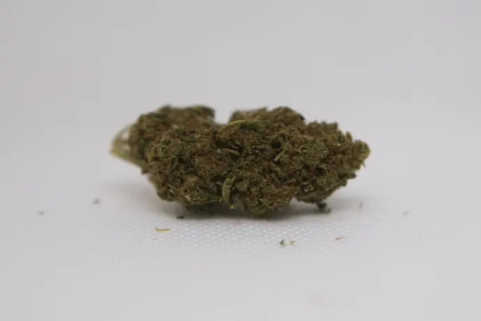 Sour Diesel Fleurs 1g
