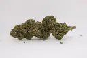 Tropical XXL Fleurs 1g