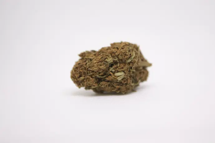 Harlequin Fleurs 10g