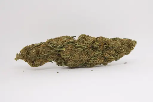 Apple Punch XXL Fleurs 5g